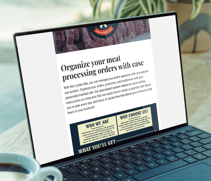 Newsletter Template